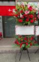 �t�H�g�M�������[�摜