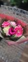 �t�H�g�M�������[�摜