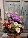 �t�H�g�M�������[�摜