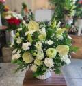 �t�H�g�M�������[�摜