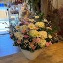 �t�H�g�M�������[�摜