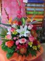 �t�H�g�M�������[�摜