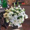 �t�H�g�M�������[�摜