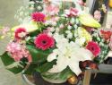 �t�H�g�M�������[�摜