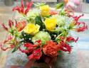 �t�H�g�M�������[�摜