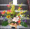�t�H�g�M�������[�摜