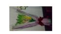 �t�H�g�M�������[�摜