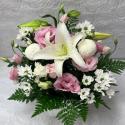 �t�H�g�M�������[�摜