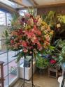 �t�H�g�M�������[�摜