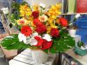 �t�H�g�M�������[�摜