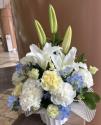�t�H�g�M�������[�摜