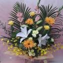 �t�H�g�M�������[�摜