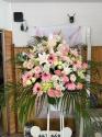 �t�H�g�M�������[�摜