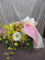 �t�H�g�M�������[�摜