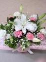 �t�H�g�M�������[�摜