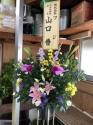 �t�H�g�M�������[�摜