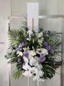 �t�H�g�M�������[�摜