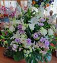 �t�H�g�M�������[�摜