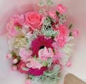 �t�H�g�M�������[�摜