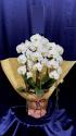 �t�H�g�M�������[�摜
