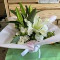 �t�H�g�M�������[�摜