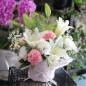 �t�H�g�M�������[�摜