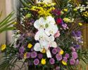 �t�H�g�M�������[�摜