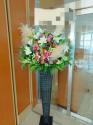 �t�H�g�M�������[�摜