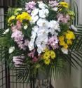 �t�H�g�M�������[�摜