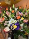 �t�H�g�M�������[�摜
