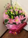 �t�H�g�M�������[�摜
