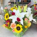 �t�H�g�M�������[�摜