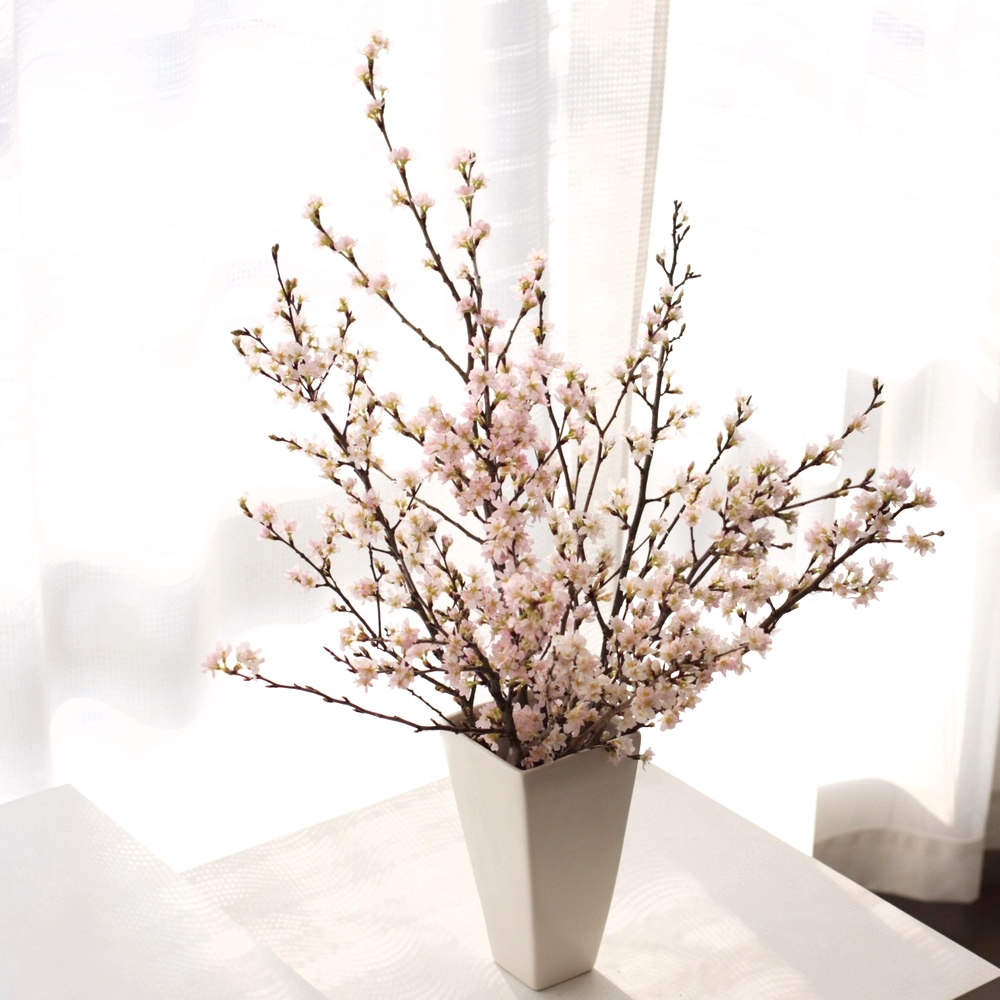 啓翁桜