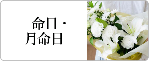 �����E�������ɑ����