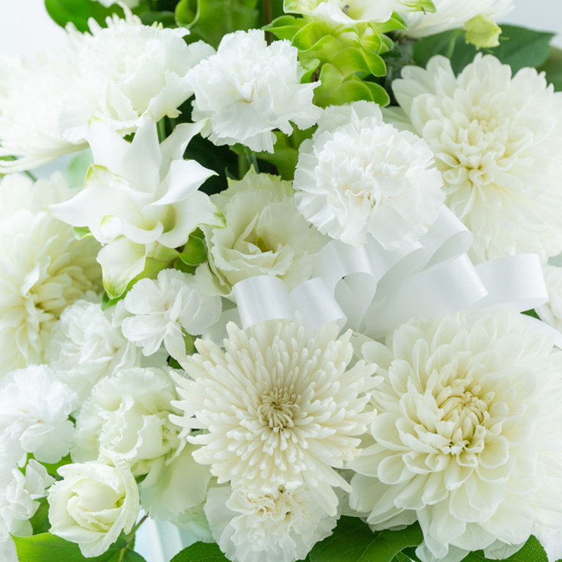 ���E�z���C�g�n