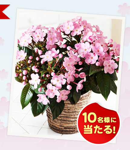 10���l�ɓ�����I